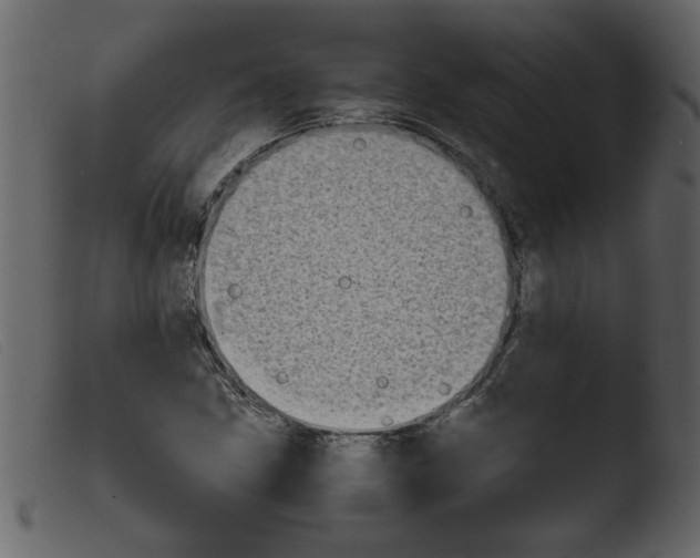 X0000103961211200810101237