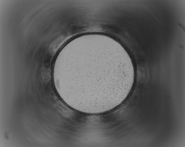 X0000103961212200810101237