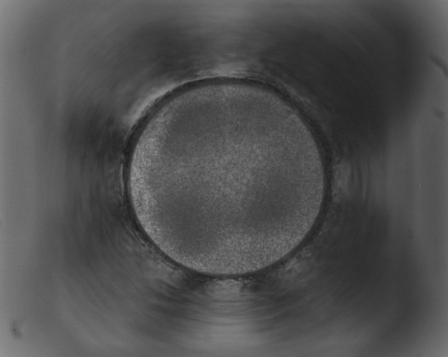 X0000103961214200810101237