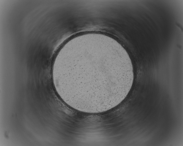 X0000103961216200810101237