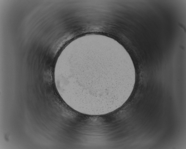 X0000103961218200810101237