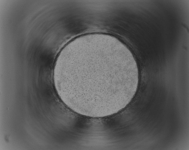 X0000103961220200810101237