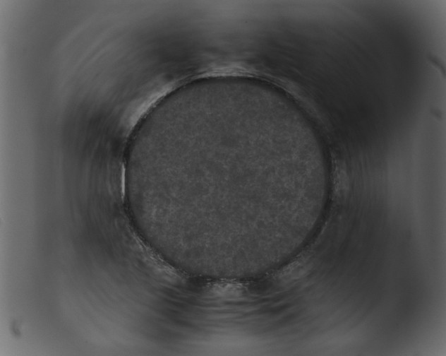 X0000103961221200810101237