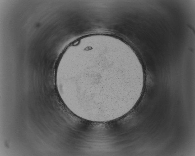 X0000103961222200810101237