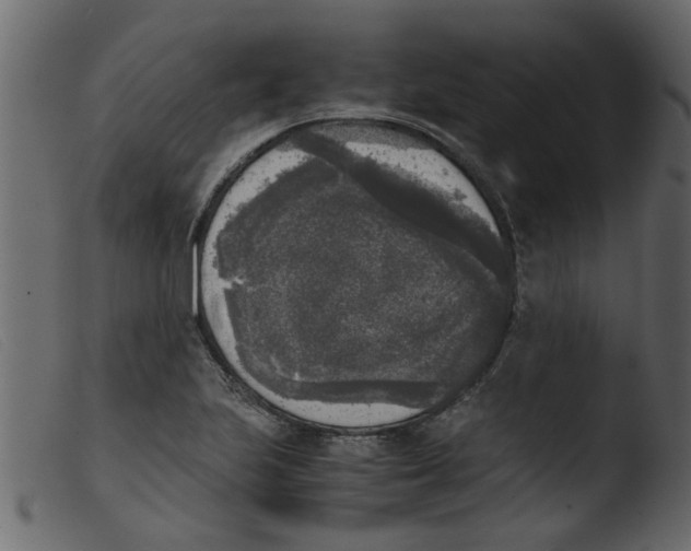 X0000103961223200810101237