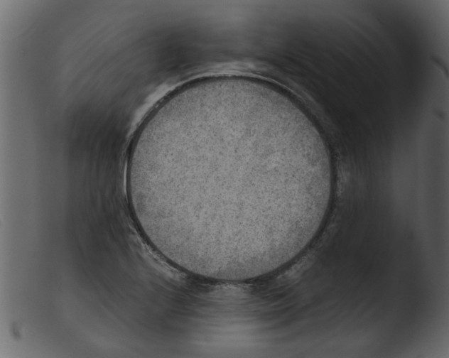 X0000103961224200810101237