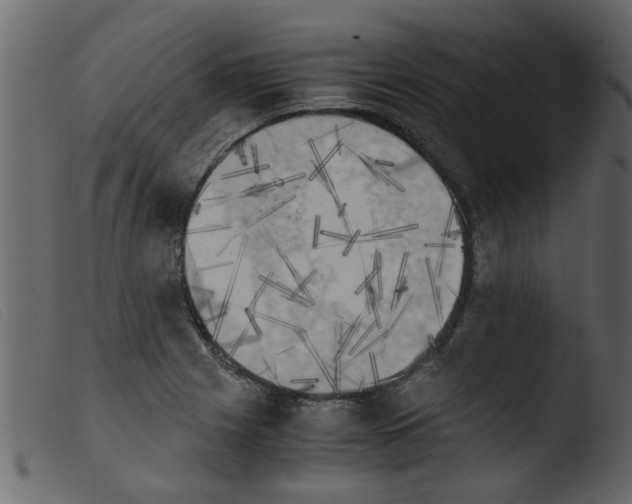 X0000103961225200810101237