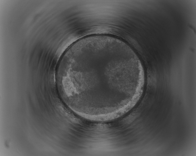 X0000103961226200810101237