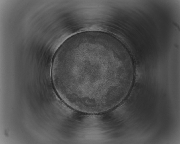 X0000103961228200810101237