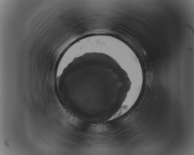 X0000103961229200810101237