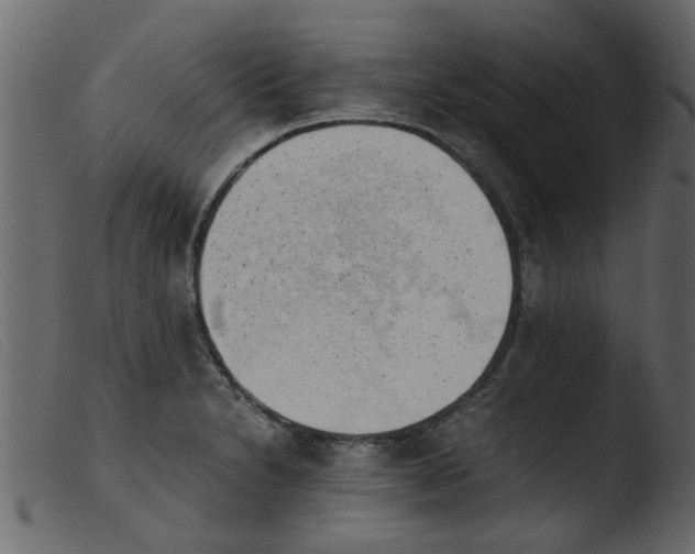 X0000103961230200810101237