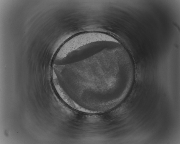 X0000103961231200810101237