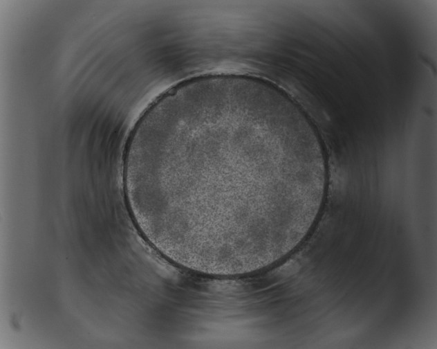 X0000103961232200810101237