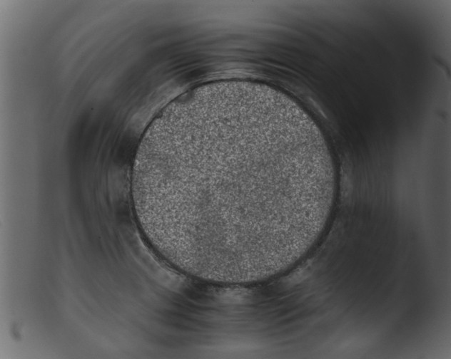 X0000103961233200810101237