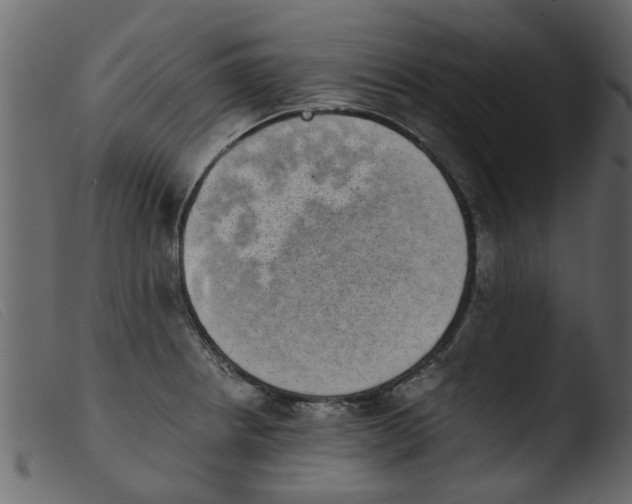 X0000103961234200810101237