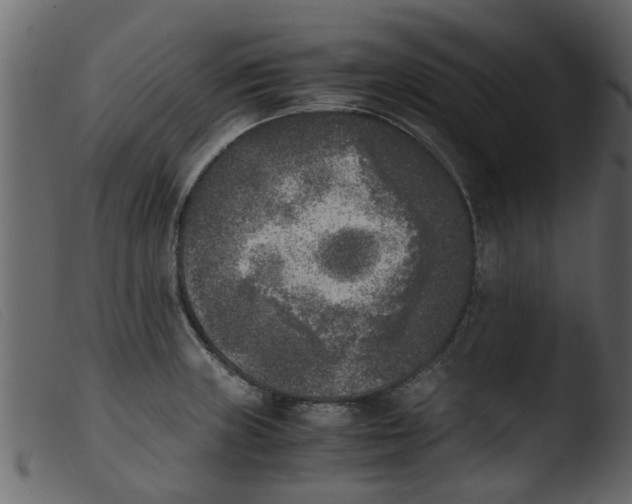 X0000103961235200810101237