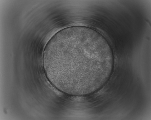 X0000103961236200810101237