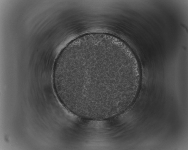 X0000103961237200810101237