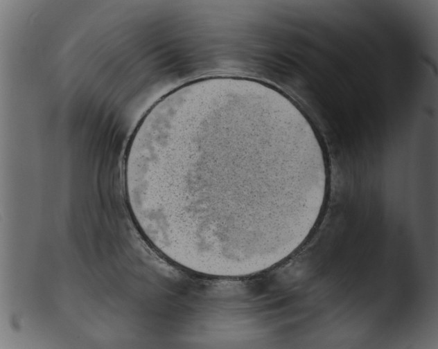 X0000103961238200810101237