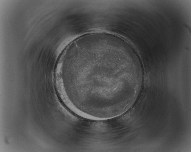 X0000103961239200810101237