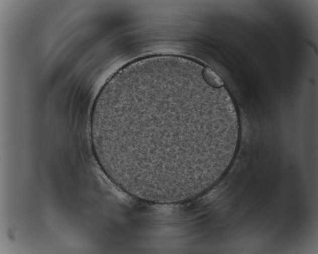 X0000103961240200810101237