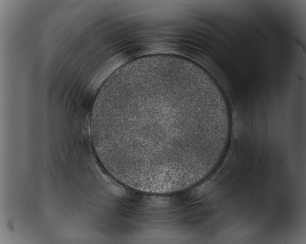 X0000103961241200810101237