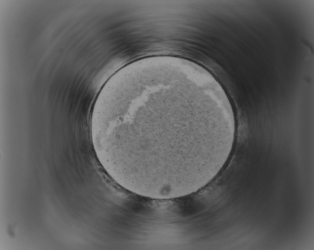 X0000103961242200810101237