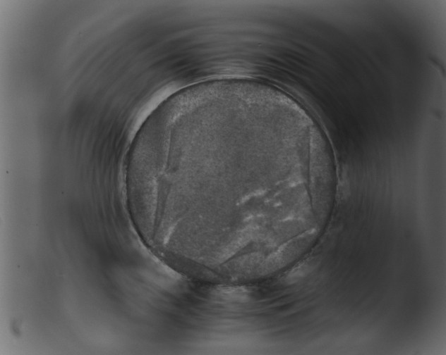 X0000103961243200810101237