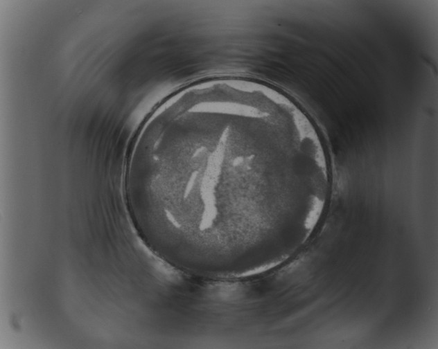 X0000103961245200810101237