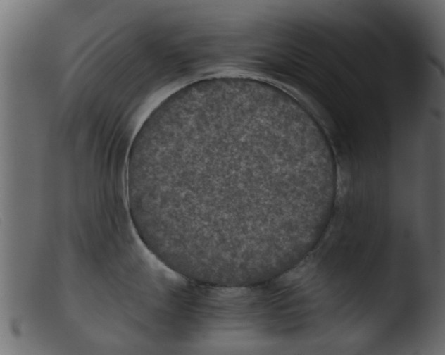 X0000103961247200810101237