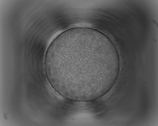 X0000103961248200810101237