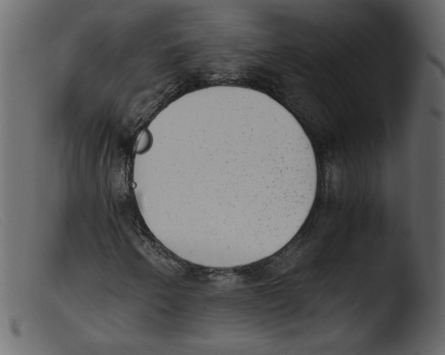 X0000103961250200810101236