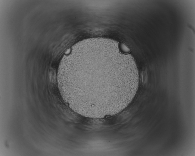 X0000103961251200810101236