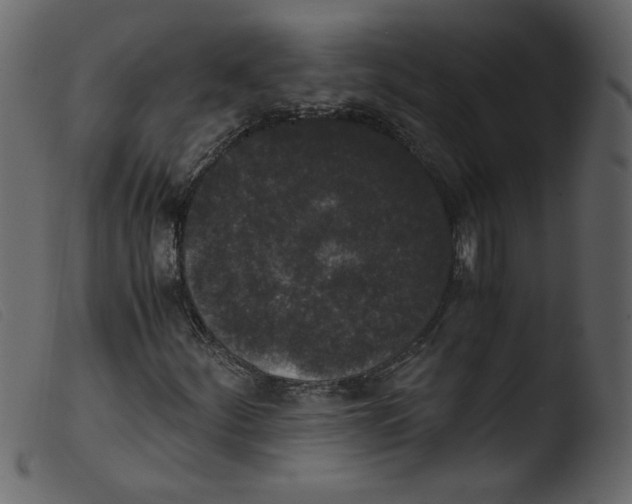 X0000103961252200810101236