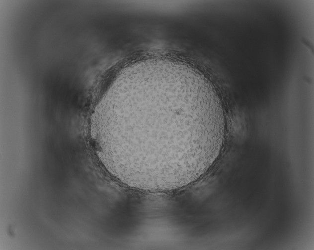 X0000103961253200810101236