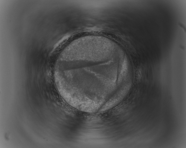 X0000103961254200810101236