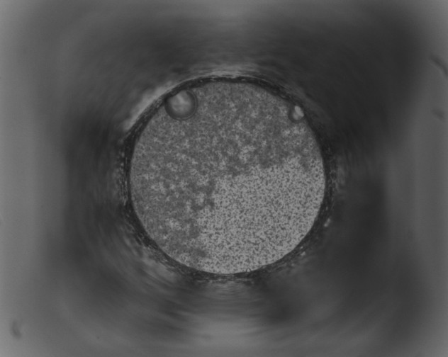 X0000103961256200810101236