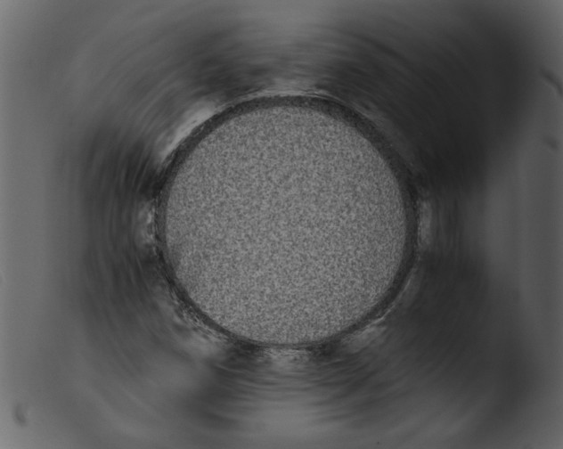 X0000103961258200810101236