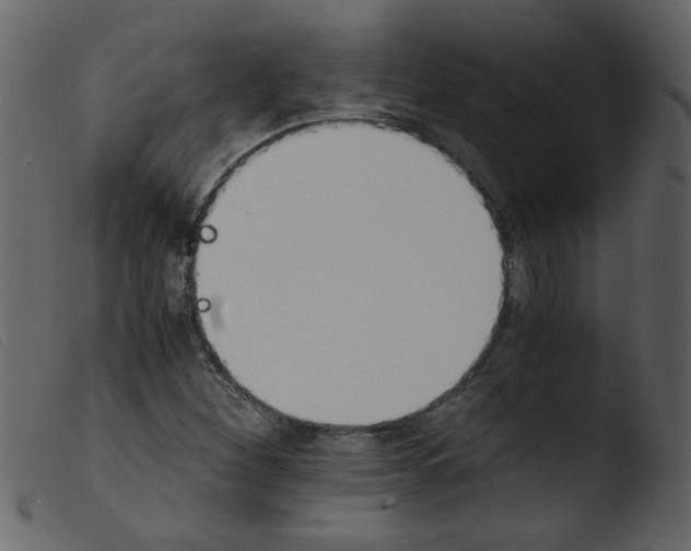 X0000103961260200810101236