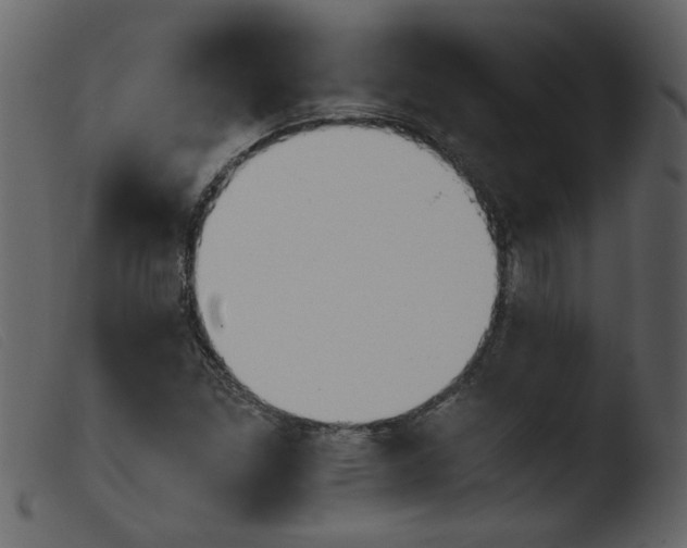 X0000103961261200810101236