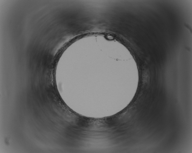 X0000103961262200810101236