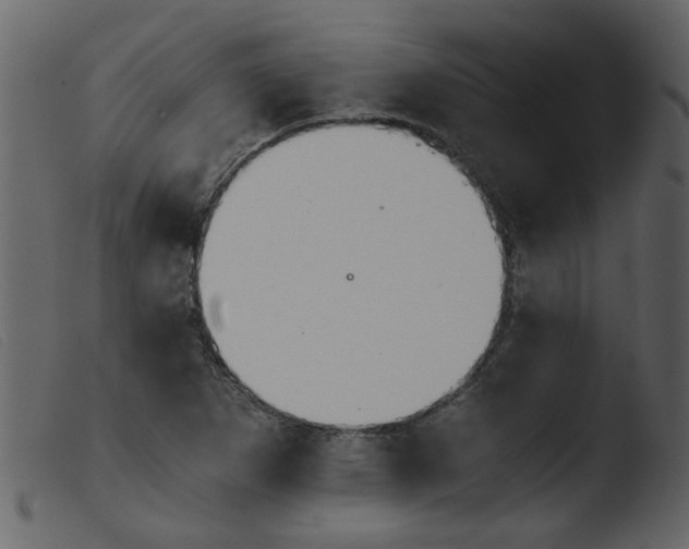 X0000103961265200810101236