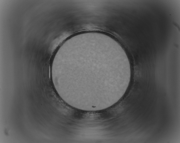 X0000103961269200810101236