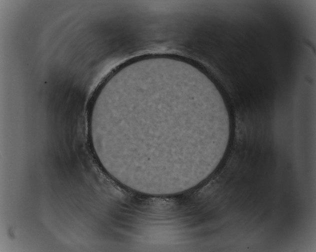 X0000103961270200810101236