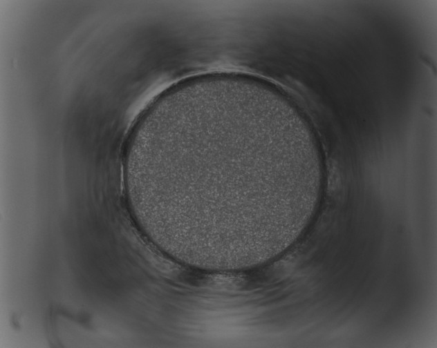 X0000103961271200810101236