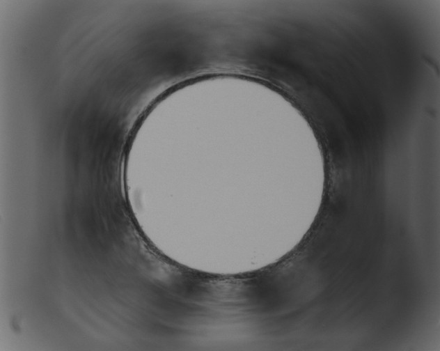 X0000103961272200810101236