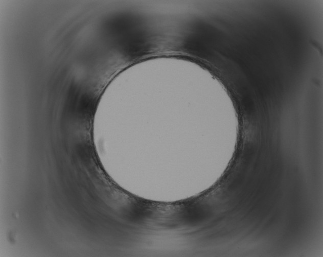 X0000103961273200810101236