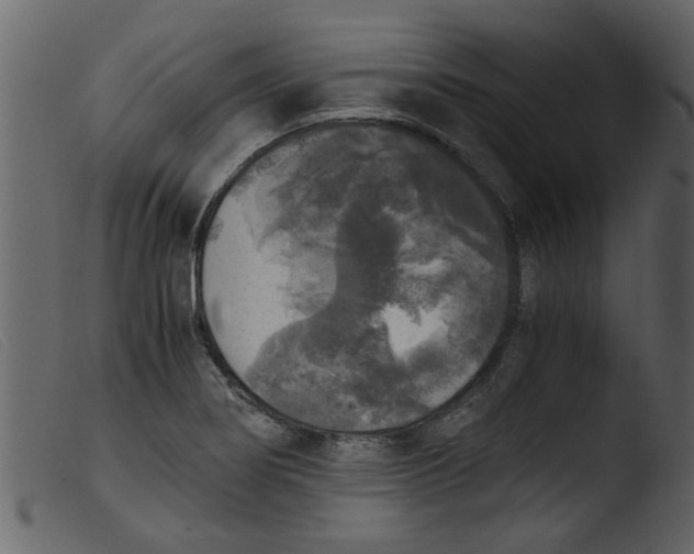 X0000103961274200810101236