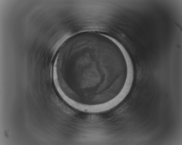 X0000103961275200810101236