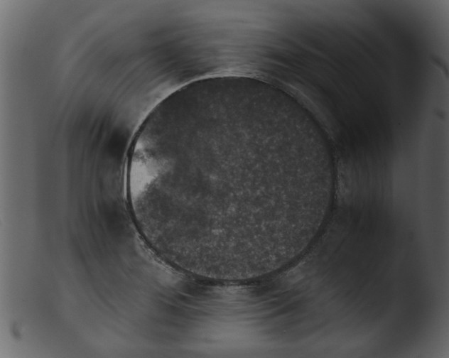 X0000103961276200810101236